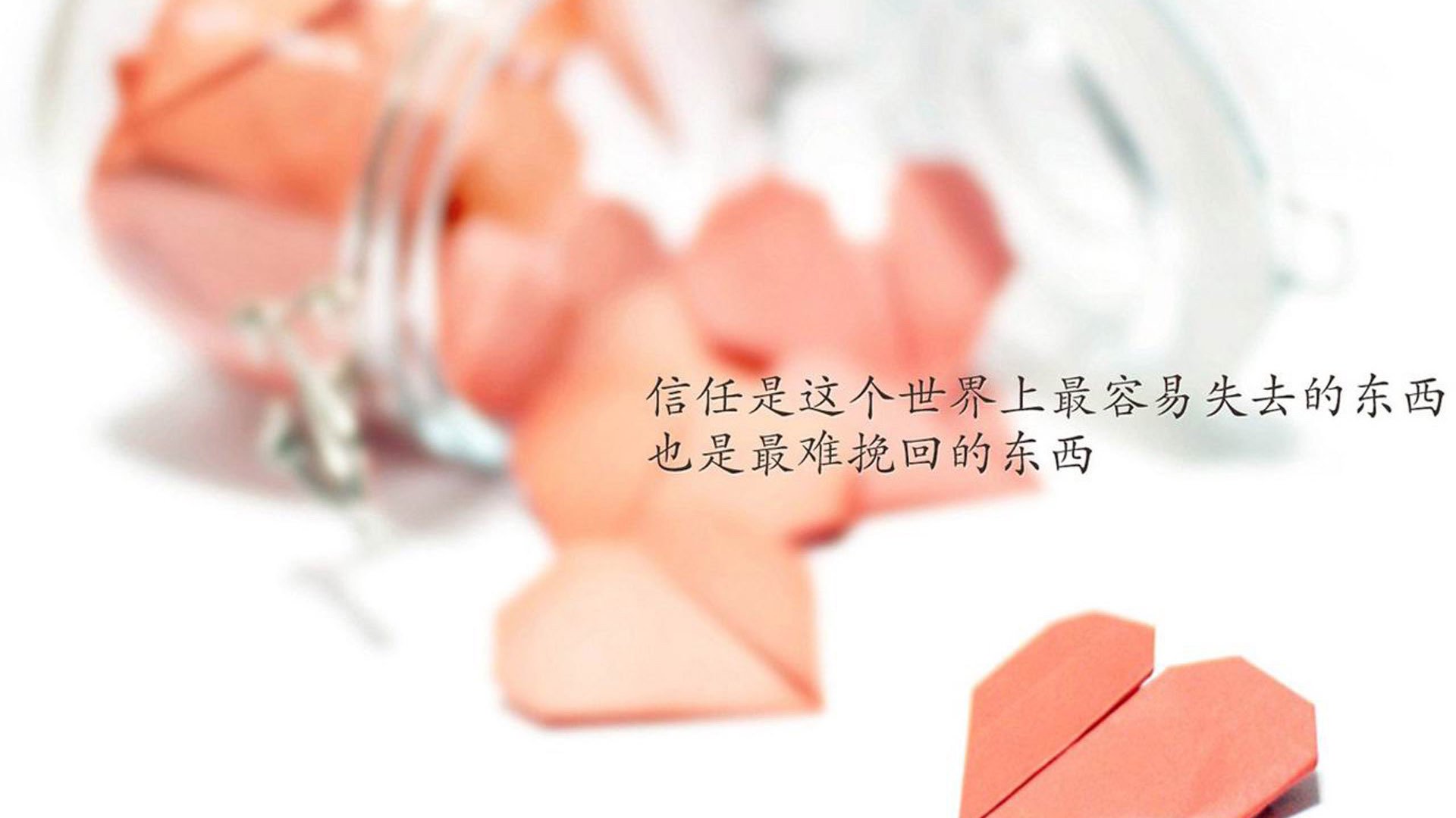 体育教育专业学生实践能力提升机制研究，体育工作能力实训实践总结报告