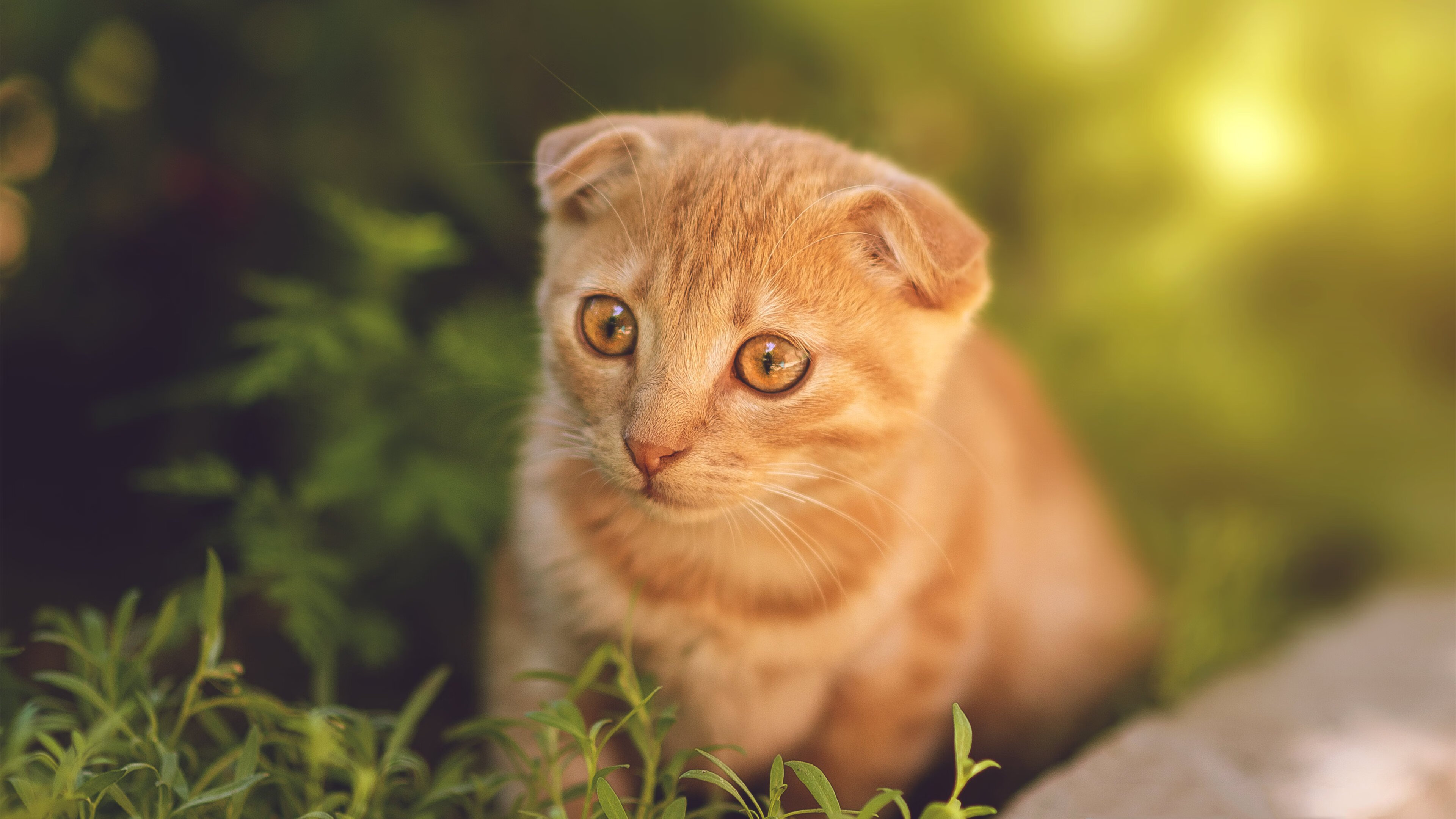 国足年度重点对抗球员表现指数汇总，中国足球国家对对员