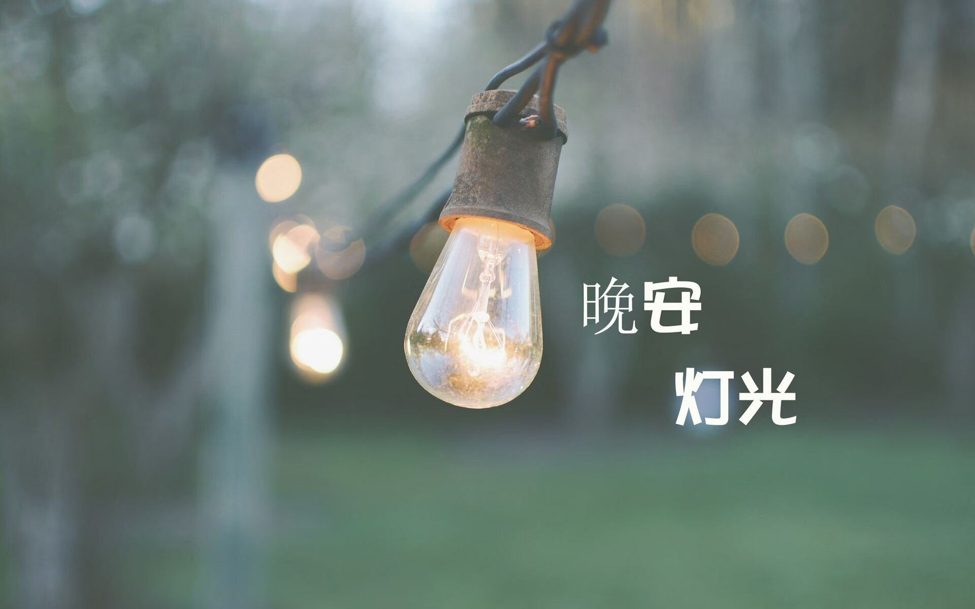 德国队在国际乒联混合团体世界杯中的战略与赛制，德国乒乓球参赛名单