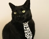 体育科研创新基金支持跨领域项目，体育专项基金