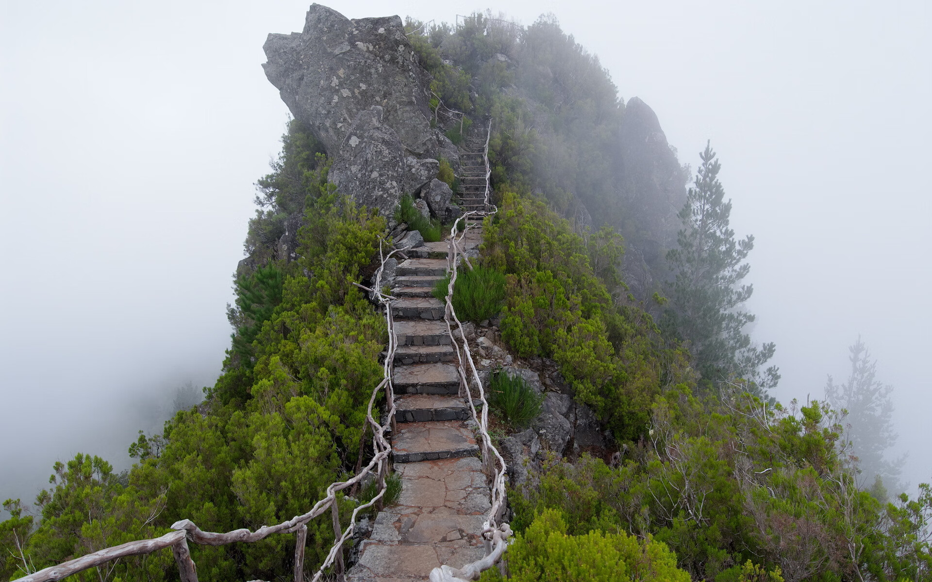 张雨霏跳水训练助力游泳表现，张雨霏游泳成绩
