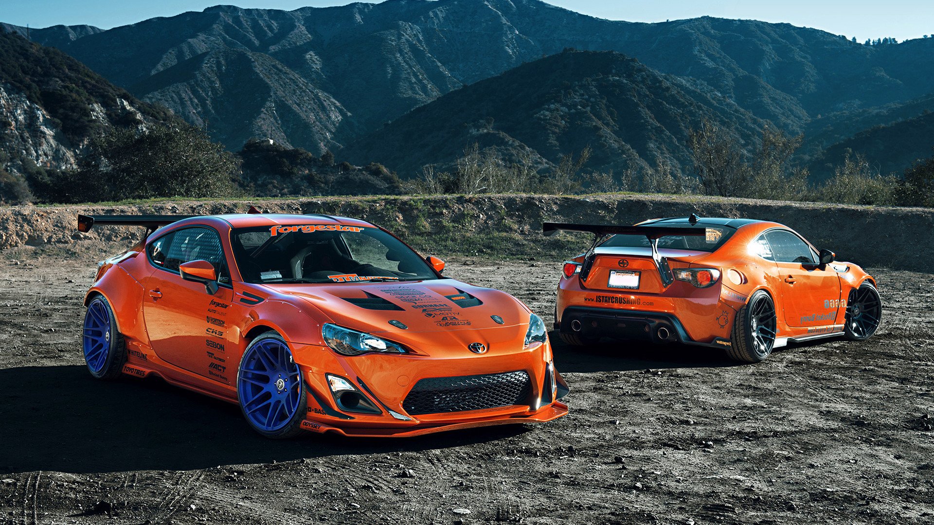 荷兰自由泳接力稳居前列，荷兰队自由人