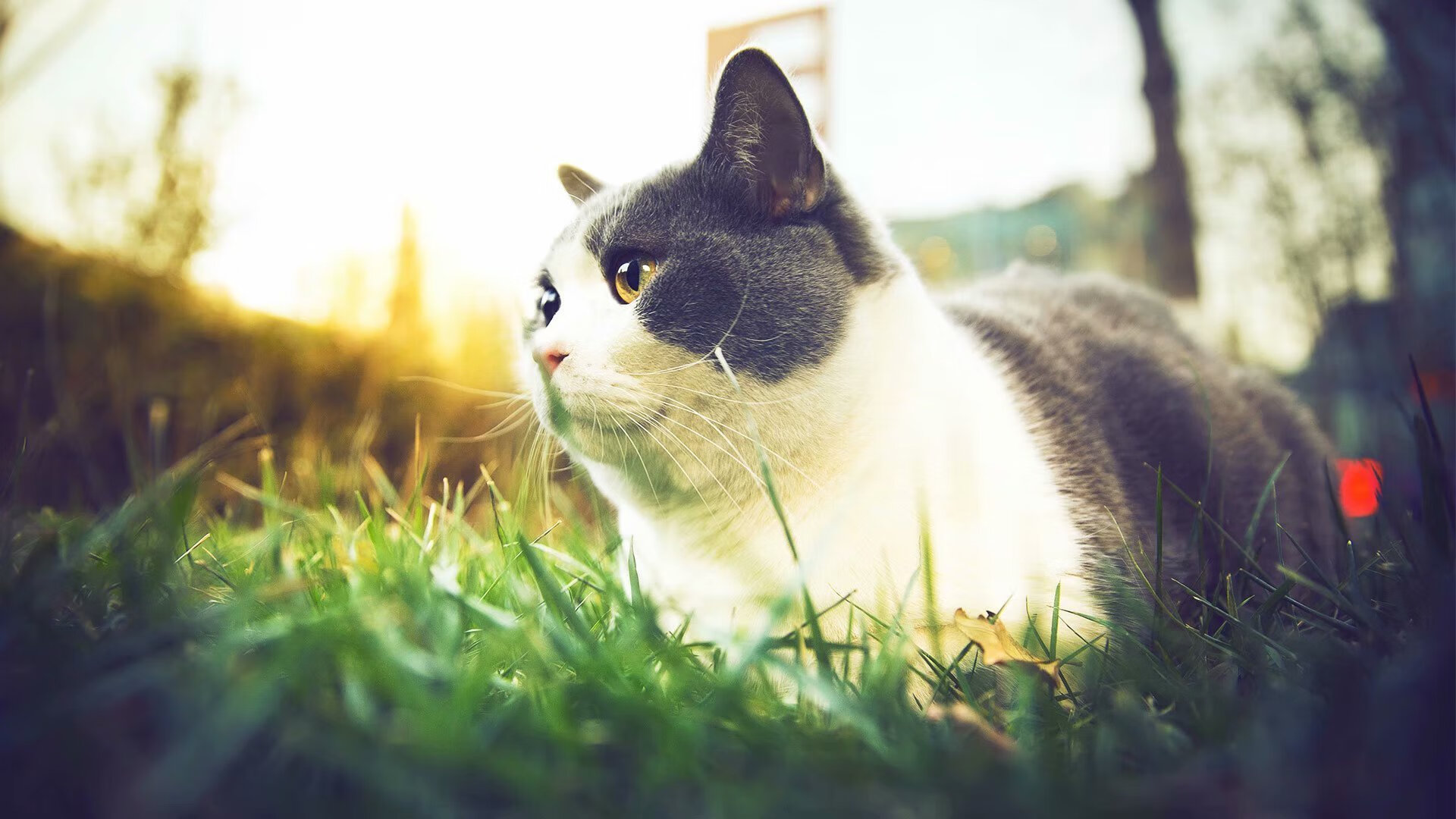 赛季收官阶段排位形势愈加复杂每场比赛皆为生死战，赛季完美收官