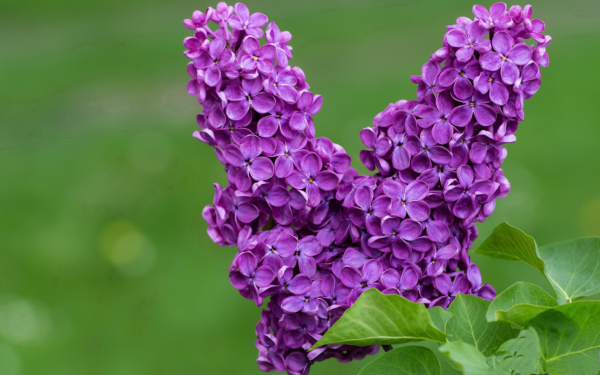 赞比亚男篮在非洲预赛中拼搏激烈，赢得行业关注，赞比亚 男足