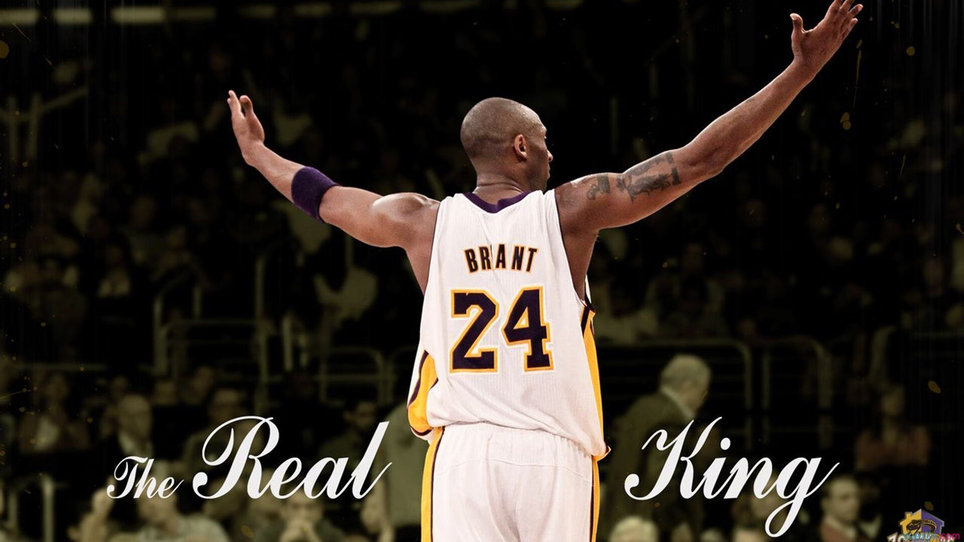 大满贯:哪位球员最有可能同时拿到“得分、助攻、篮板、盖帽”四项全能荣誉?